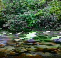 Mossman Silky Oaks to/from Cairns - Australia Accommodation