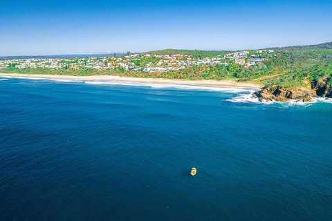 Noosa Oceanrider Scenic Dolphin Safari - Australia Accommodation 5