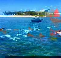 Low Island Snorkelling Private Charter Aboard Authentic Chinese Junk Boat - Australia Accommodation