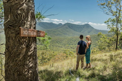 Queensland Food Tour: The Ultimate Delectable Full Day Experience - Australia Accommodation 1
