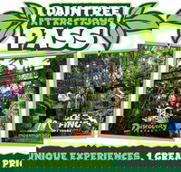 Daintree Atttractions Pass The Best of the Daintree in a Day - Australia Accommodation