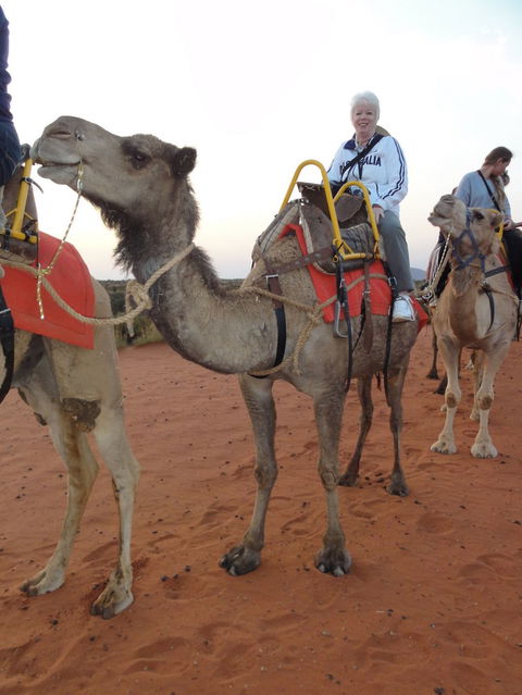 Uluru Small-Group Tour By Camel At Sunrise Or Sunset - Australia Accommodation 2