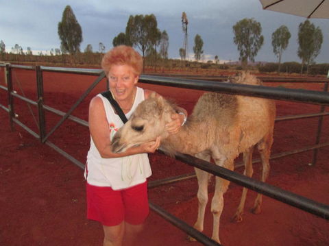 Uluru Small-Group Tour By Camel At Sunrise Or Sunset - Australia Accommodation 18
