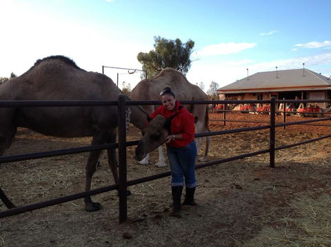 Uluru Small-Group Tour By Camel At Sunrise Or Sunset - Australia Accommodation 21