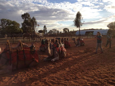 Uluru Small-Group Tour By Camel At Sunrise Or Sunset - Australia Accommodation 23