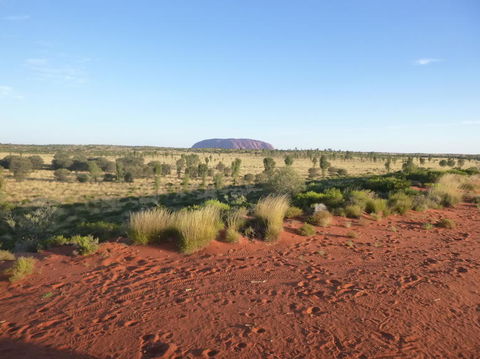 Uluru Small-Group Tour By Camel At Sunrise Or Sunset - Australia Accommodation 9