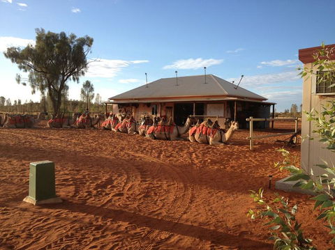 Uluru Small-Group Tour By Camel At Sunrise Or Sunset - Australia Accommodation 19