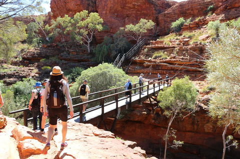 Kings Canyon Day Trip From Ayers Rock - Australia Accommodation 19