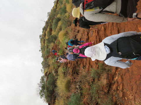 Kings Canyon Day Trip From Ayers Rock - Australia Accommodation 14
