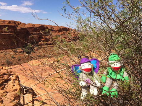 Kings Canyon Day Trip From Ayers Rock - Australia Accommodation 23