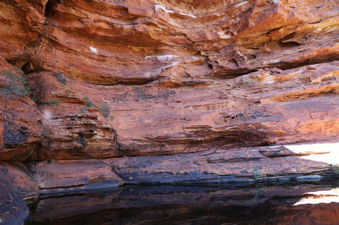 Kings Canyon Day Trip From Ayers Rock - Australia Accommodation 16