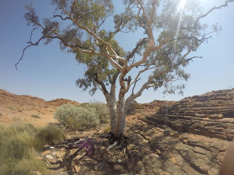 Kings Canyon Day Trip From Ayers Rock - Australia Accommodation 3