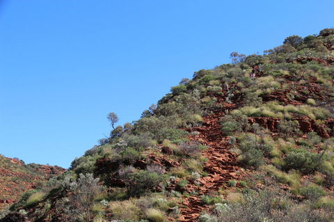 Kings Canyon Day Trip From Ayers Rock - Australia Accommodation 21