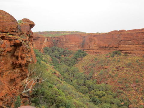 Kings Canyon Day Trip From Ayers Rock - Australia Accommodation 13