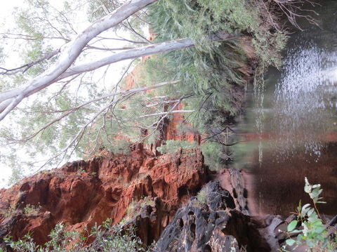Kings Canyon Day Trip From Ayers Rock - Australia Accommodation 11