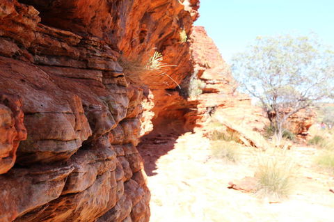 Kings Canyon Day Trip From Ayers Rock - Australia Accommodation 20