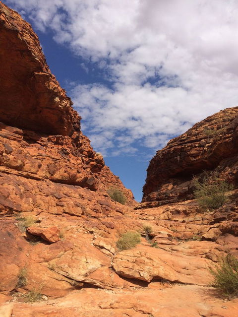 Kings Canyon Day Trip From Ayers Rock - Australia Accommodation 25