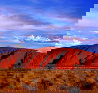 Uluru and Kata Tjuta Experience with BBQ Dinner - Australia Accommodation