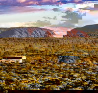 Alice Springs to Uluru Ayers Rock One Way Shuttle - Australia Accommodation
