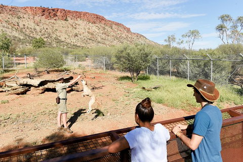 Alice Springs Desert Park General Entry Ticket - Australia Accommodation 9
