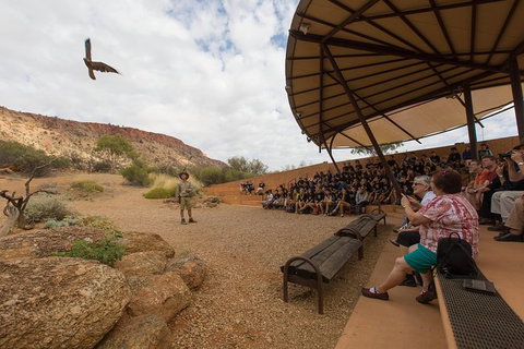 Alice Springs Desert Park General Entry Ticket - Australia Accommodation 5
