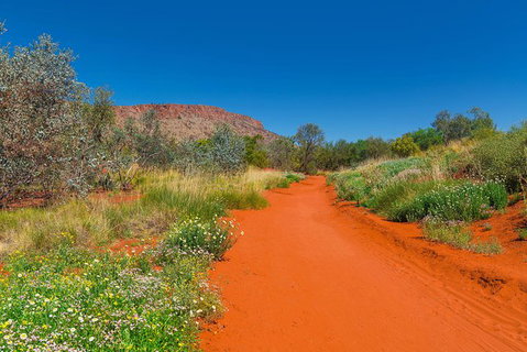 Alice Springs Desert Park General Entry Ticket - Australia Accommodation 7