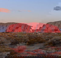 3-Day Uluru Camping Tour from Alice Springs Including Kata Tjuta and Kings Canyon - Australia Accommodation
