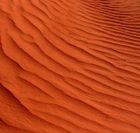 Overnight Uluru Adventure Safari - Australia Accommodation