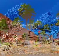 Palm Valley 4WD Tour from Alice Springs - Australia Accommodation