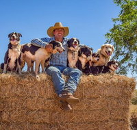 Skip-the-Line Katherine Outback Experience Show Ticket - Australia Accommodation
