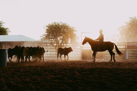 Skip-the-Line Katherine Outback Experience Show Ticket - Australia Accommodation 3