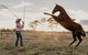 Skip-the-Line Katherine Outback Experience Show Ticket - thumb 5