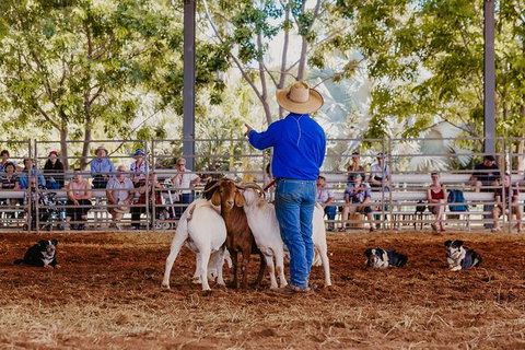 Skip-the-Line Katherine Outback Experience Show Ticket - Australia Accommodation 7