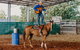 Skip-the-Line Katherine Outback Experience Show Ticket - thumb 9