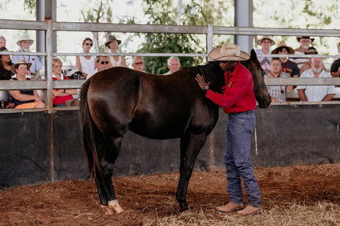Skip-the-Line Katherine Outback Experience Show Ticket - Australia Accommodation 10