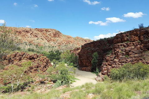 East MacDonnell Ranges 1 Day 4WD Tour - Australia Accommodation 0