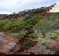 Palm Valley and Hermannsburg 1 Day 4WD Tour - Australia Accommodation