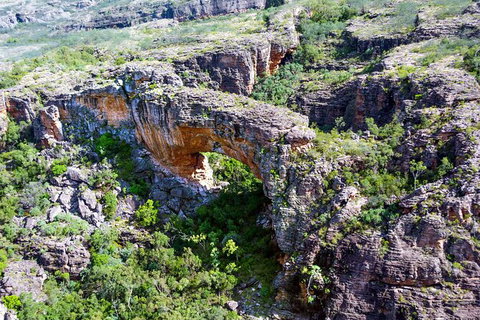Darwin To Katherine Day Trip By Air Including Nitmiluk (Katherine) Gorge Cruise - Australia Accommodation 5