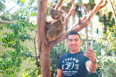 All Inclusive Full-Day Blue Mountains Trip From Sydney - Australia Accommodation 1