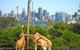 Sydney Harbour Hop-on Hop-off Cruise - thumb 18