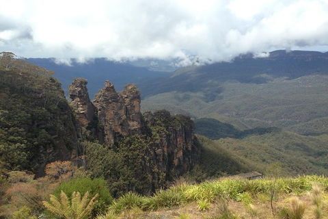 All-Inclusive Blue Mountains Tour In A Luxury Mercedes Sprinter - Australia Accommodation 11