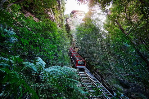 All-Inclusive Blue Mountains Tour In A Luxury Mercedes Sprinter - Australia Accommodation 3