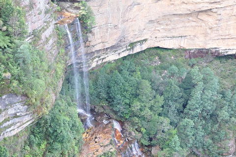 All-Inclusive Blue Mountains Tour In A Luxury Mercedes Sprinter - Australia Accommodation 17
