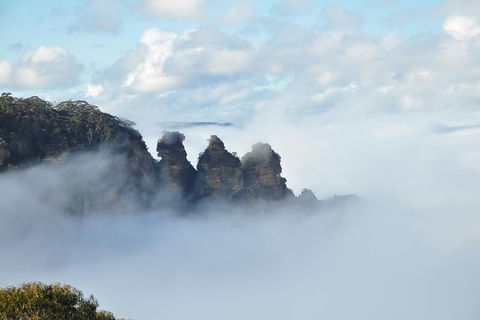 All-Inclusive Blue Mountains Tour In A Luxury Mercedes Sprinter - Australia Accommodation 15