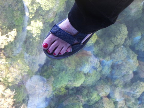 Blue Mountains Day Trip From Sydney Including Scenic World - Australia Accommodation 1