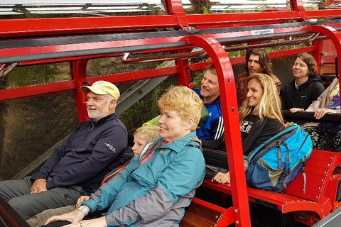 Blue Mountains Ultimate One-Day Tour - Australia Accommodation 12