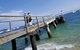 Sydney Private Day Tours - Central Coast, Beaches, Plus Wildlife & Reptile Park - thumb 1
