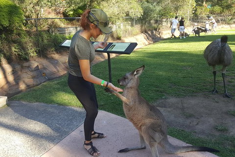 Sydney Private Day Tours - Central Coast, Beaches, Plus Wildlife & Reptile Park - Australia Accommodation 0