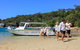 Sydney Harbour Boat Tour With Unique Beach Landings And Local Guide - thumb 4