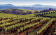 Private Day Trip To Hunter Valley From Sydney With Pickup - thumb 0